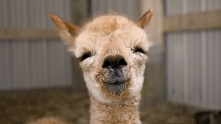 Happy Hump Day!
